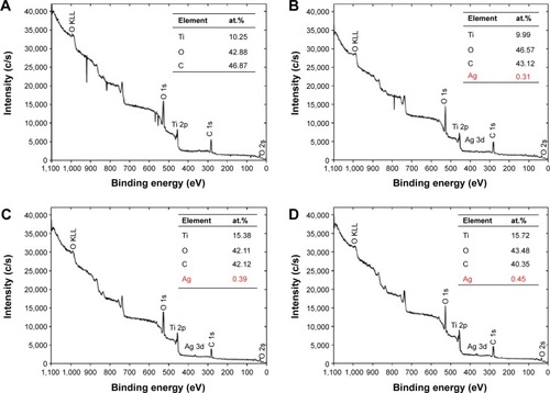 Figure 2 XPS full spectra of (A) SLA, (B) 30 min–15 Ag-PIII, (C) 60 min–15 Ag-PIII, and (D) 90 min–15 Ag-PIII.Notes: 30 min–15 Ag-PIII, titanium surfaces treated by first SLA procedure and then silver plasma immersion ion implantation at 15 kV for 30 minutes; 60 min–15 Ag-PIII, titanium surfaces treated by first SLA procedure and then silver plasma immersion ion implantation at 15 kV for 60 minutes; 90 min–15 Ag-PIII, titanium surfaces treated by first SLA procedure and then silver plasma immersion ion implantation at 15 kV for 90 minutes.Abbreviations: XPS, X-ray photoelectron spectroscopy; SLA, sand-blasted, large grit, and acid etched; Ag-PIII, silver plasma immersion ion implantation; min, minutes.