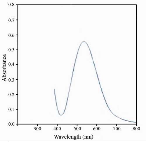 Figure 2. UV-Vis absorbance bands at 533 nm for AuNPs forms using L. inermis extract.