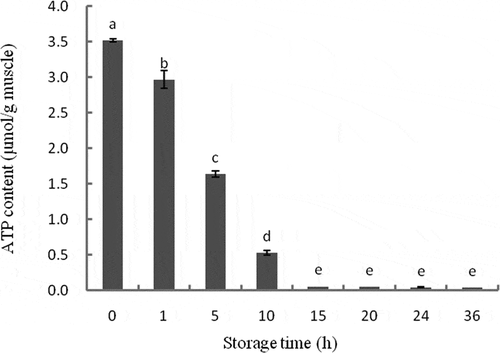 Figure 1. Changes in ATP content of tilapia skeletal muscles during 36 h of storage, as analyzed with HPLC. Bars represent the standard error of the mean. Different letters indicate significant difference (P < 0.05).