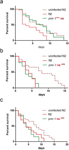 Figure 4. Effect of pmr-1 silencing on worms infected with different pathogens.Kaplan-Meier survival plot of N2, uninfected wild-type and pmr-1 mutant worms infected with (a) E. faecalis, (b) P. aeruginosa and (c) C. albicans. n= 60 for each data point of single experiments. Asterisks indicate significant differences (***p < 0.001, ns: not significant).