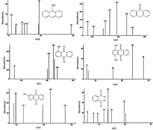 Figure S6. Mass spectra of subproducts resulting from the photocatalytic degradation of anthracene in hospital wastewater samples.