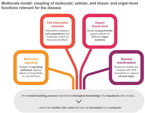 Figure 2. Building the multiscale model platform.MoA, mode of action; QSP, quantitative systems pharmacology.
