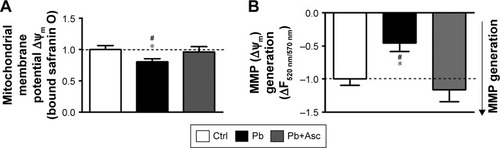 Figure 4 SM from cerebral cortices of rat pups exposed to Pb show alterations in basal mitochondrial membrane potential as well as energization-induced generation of mitochondrial membrane potential and ascorbic acid abolishes these alterations.