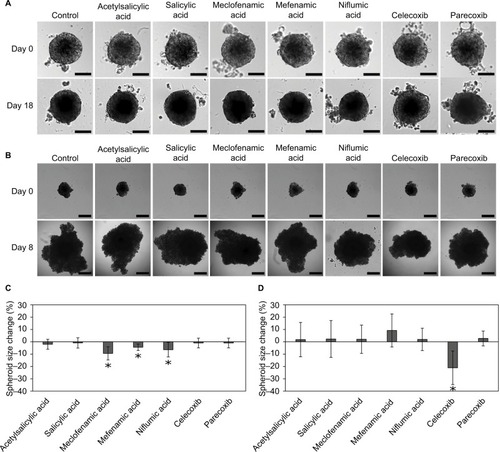 Figure 3 Spheroid size after incubation with NSAIDs.Notes: BxPC-3 spheroids after incubation with 20 μM NSAIDs, magnification 100× (A). MIA PaCa-2 spheroids after incubation with 20 μM NSAIDs, magnification 40× (B). BxPC-3 spheroid diameter after incubation with NSAIDs for 18 days (C). BxPC-3 and MIA PaCa-2 spheroid size change after incubation with NSAIDs for 10 days (D). The asterisks (*) indicate p<0.05.Abbreviations: EC50, half maximal effective concentration; NSAIDs, non-steroidal anti-inflammatory drugs.