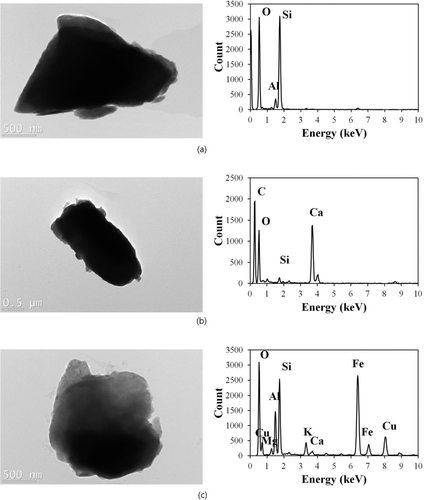 FIG. 6 TEM images and EDS spectra of dust particles: (a) (Si-rich (Al2SiO5), (b) Ca-rich (CaCO3), and (c) Fe-rich (Fe2O3) particles (the Cu peak might come from the copper TEM grid although we conducted background subtraction in the EDS spectra).