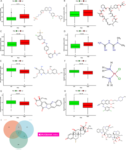 Figure 8 Drug sensitivity analyses and structure prediction. (A) Lapatinib, (B) Temsirolimus, (C) Sorafenib, (D) Metformin, (E) JNK.inhibitor.VIII, (F) Cisplatin, (G) Camptothecin, (H) Bosutinib. (I) Intersection of the potential drugs via cMAP, L100FWD and DGIdb databases based on DEGs.