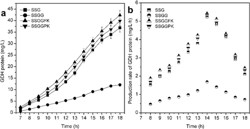 Figure 4. Effect of modification of the PTS system on the concentration (a) and production rate (b) of GDH protein in expression of GDH protein by E. coli (P < 0.05).