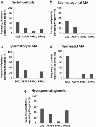 Figure 2.  The agreement level between the relative frequency of patients expressing the genes in semen samples and testicular histopathological results. Testicular histopathology status in NOA patients are sertoli-cell only syndrom (a), spermatogonial MA (b), spermatocyte MA (c), spermatid MA (d), and hypospermatogenesis (e). β-actin was used as the positive control.