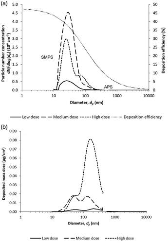 Figure 1. (a) Particle number size distributions of the aerosolized ZnO NPs, measured with the SMPS and the APS (left axis), and the extrapolated deposition efficiency in the NACIVT system from Jeannet et al. (Citation2015) (right axis), and (b) calculated corresponding deposited mass dose size distributions.