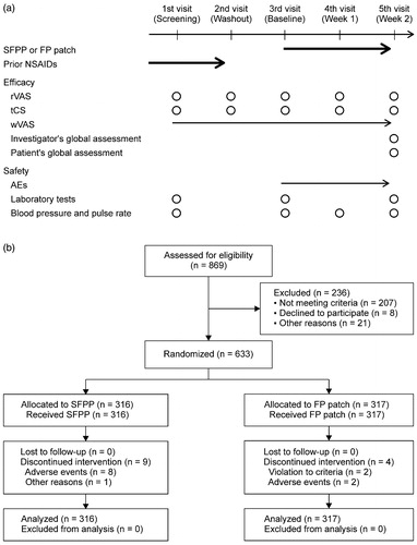 Figure 1. Study schedule (a) and flow chart of patients throughout the trial (b). Bold arrow = treatment; arrow = daily assessment; circle = assessment at the visit; rVAS = visual analogue scale on rising from the chair; tCS = total clinical symptoms score; wVAS = visual analogue scale on walking.