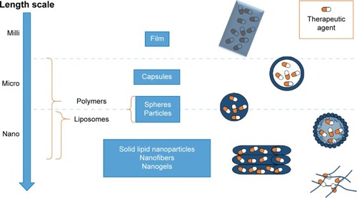 Figure 2 Local anesthetic delivery systems can be produced at different length scales (milli, micro, or nano) using different physical forms: films, capsules, spheres and particles, liposomes, nanofibers, and nanogels.