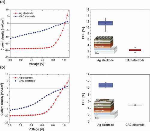 Figure 9. (a) J–V curves and photovoltaic performance statistics of the top Ag and CAC-based PSC devices with an active area of 0.0464 cm2. (b) J–V curves and photovoltaic performance statistics of top Ag and CAC-based PSC devices with an active area of 1.08 cm2.