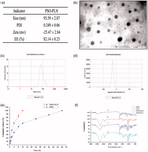 Figure 2. (a) Particle properties of PSO-PLN. (b) Transmission electron microscopy image of PSO-PLN after optimal formulation. (c) Properties of the optimal particle size of 93.59 ± 2.87 nm. (d) Properties of the optimal particle size of Zeta potential of −25.47 ± 2.84 mV. (e) In vitro drug (PSO) release profiles from PSO solution and PSO-PLN. Release was measured at neutral (pH 7.4) conditions at 37 ± 0.5 °C. Each point represents the mean (±SD) based on triplicate measurements. (f) FTIR spectra of (A) PSO, (B) PLN, (C) PSO + PLN, (D) PSO-PLN.