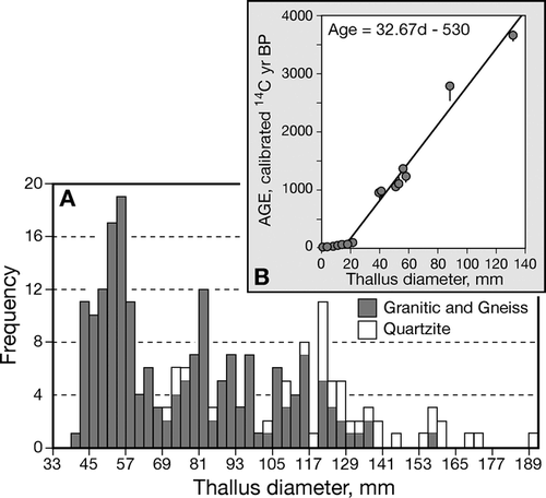 Figure 3 (A) Size-frequency distribution for lichen thalli diameters on rock glacier surfaces. A distinction is made between the distribution resulting from measurements made exclusively on granitic and gneissic substrates and those including measurements made on quartzitic substrates because growth rates on the latter may differ. (B) Inset shows the growth curve used to calculate the age of the peaks in the size-frequency plot (after CitationBenedict, 1993). The linear regression (r 2  =  0.985) is valid for thalli greater than 20 mm on the long axis; lichen growth rate is ~0.031 mm yr–1. The ages of radiocarbon-dated surfaces have been recalibrated using CALIB 5.0.1 (CitationStuvier et al., 2005). Error bars indicate 1σ uncertainty in the radiocarbon ages.