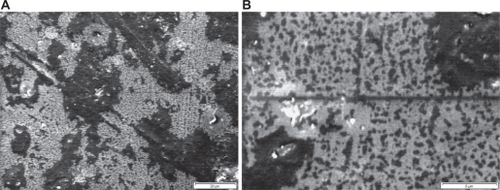 Figure 5 Scanning electron microscopy of grafted polystyrene under 20 KGy. A) Magnification 1000× (scale: 20 μm). B) Magnification 5000× (scale: 5 μm).
