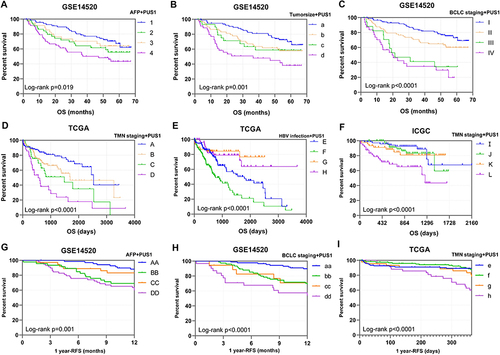 Figure 5 Joint-effect analysis of PUS1 and significant clinical variables. (A–F) Kaplan-Meier plots of joint-effect analysis for OS in GSE14520, TCGA and ICGC cohorts. (G–I) Kaplan-Meier plots of joint-effect analysis for 1 year- RFS in GSE14520 and TCGA cohorts.