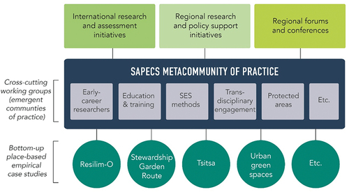 Figure 2. SAPECS is centred around a variety of cross-cutting working groups, which have functioned as smaller emergent communities of practice nested within the larger SAPECS metacommunity of practice. These working groups draw largely on insights from place-based SES research projects and case studies led by SAPECS members. SAPECS also actively engages in wider regional and international SES-related research, assessment and policy initiatives through the presence of SAPECS members in these networks. The projects and working groups depicted are a selection of those currently most active.