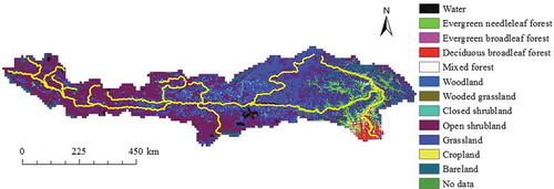 Figure 2. Vegetation of the YZRB.