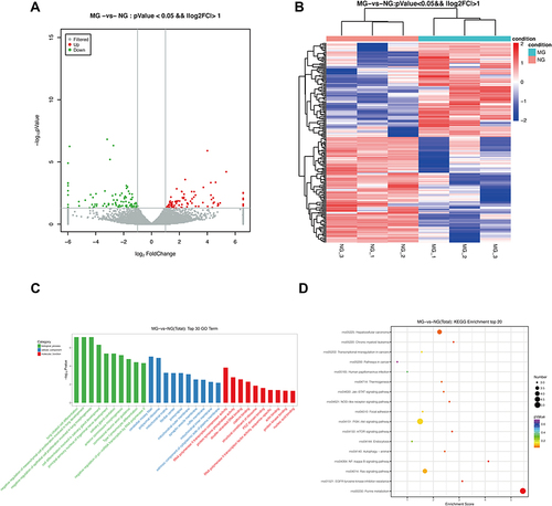 Figure 3 The DE lncRNAs were analyzed based on the RNA sequencing data in MG and NG. (A) Volcano plot and (B) heatmap of DE lncRNAs between MG and NG (log2FC >1 and P<0.05). (C) Top 30 GO terms from the genes enrichment analysis and (D) top 20 significant KEGG pathways between MG and NG.