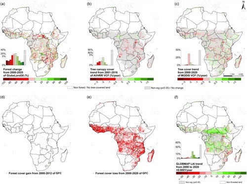 Figure 7. Forest change maps based on GlobeLand30, AVHRR VCF, MODIS VCF and GFC products, and annual mean LAI change map. (a) Forest change of GlobeLand30 from 2000 to 2020, (b) linear trend of percent tree cover of AVHRR VCF from 2001 to 2016, (c) linear trend of percent tree cover of MODIS VCF from 2000 to 2020. Grey color areas exhibited no significant trend at the 95% confidence level or the change ratio equal to zero. White color areas exhibited no forest or tree covered. (d) Forest cover gain from 2000 to 2012 and (e) forest cover loss from 2000 to 2020 of GFC in Africa. (f) Linear trend of annual mean LAI from 2000 to 2020, white color represented no forest-covered areas of GLOBMAP fractional tree cover product (pixels with tree cover approximately 0% of more than 18 years from 2000 to 2020).