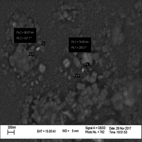 Figure 4. SEM image of UF nanocapsule containing Eucalyptus extract core [F3: 35 g Urea + 70 ml formaldehyde solution + 200 ml distilled water + 20% (v/v) Palm oil + 10% (v/v) Polysorbate 20 and stirring rate: 700 rpm].