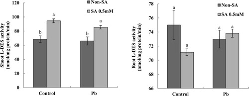 Figure 3. Effect of seed pretreatment with SA on L-DES activity of maize plants under lead stress conditions (Mean ± SE, n = 3), P ≤ 0.05.