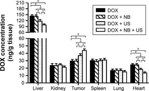 Figure 4 Distribution of DOX in a variety of tissues in the four groups.Note: *P<0.05.Abbreviations: DOX, doxorubicin; NB, nanobubble; US, ultrasound.