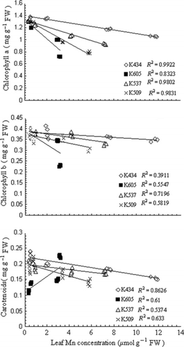 Figure 4 Effects of leaf Mn concentrations on chlorophyll a, chlorophyll b and carotenoids in the leaves of var. Kneja 434, var. Kneja 605, var. Kneja 509 and var. Kneja 537. FW, fresh weigt.