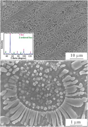 Figure 1. (color online) (a) Secondary electron image of the etched Al2CrCuFeNi2 alloy and (b) the enlarged view of a typical sunflower-like microstructure. The inset in (a) gives the XRD pattern for the alloy.