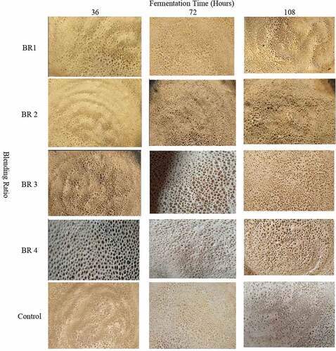 Figure A1. Injera samples prepared from the different Blending ratios and Fermented durations. Where, BR1 (Perl Millet Flour 40: Teff Flour 55: Buckwheat flour 5), BR2 (Perl Millet Flour 30: Teff Flour 60: Buckwheat flour 10), BR3 (Perl Millet Flour 20: Teff Flour 65: Buckwheat flour 15), BR4 (Perl Millet Flour 10: Teff Flour 70: Buckwheat flour 20) and Control (100% Teff Flour).