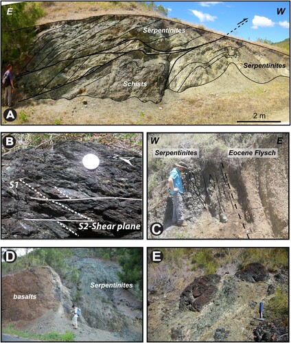 Figure 5. Deformation associated with the serpentinite slivers in the Col de Nassirah and Kûfara areas. A, folding and shearing of sepentinites and schists, Shear zone: N155/20°NE, indicating a top to the WSW sense of shear; B, Serpentinites crosscutting the Eocene turbidites showing two main deformations,(i) a pervasive foliation (S1) (N40 and 75° dipping to the SE); and a (ii) discrete cleavage (S2) (N170 and 70 dipping to the east), S2 is parallel to the contact between serpentinites and Eocene turbidite; C, Tectonic contact between Eocene Flysch conglomerate and serpentinites, (contact: N170 dipping 75° to the east); D, Contact between basalts of the basement and serpentinites (N45/60°E); E, Lenses of serpentinized peridotites into serpentinites.