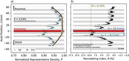 Figure 6. Global differences between the operated and contralateral limb of one animal were evaluated based on the changes of a) normalised representative densities (Pˉ) in each limb and b) remodelling index (R) with characteristic measures obtained from its scatter.