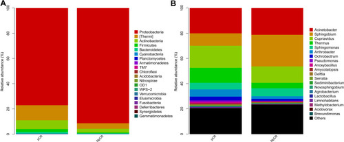 Figure 5 Profiles of microbial taxonomic composition at the phylum and genus levels. Compositions of tissue microbiota at the phylum level (A) and genus level (B) between pCR and NpCR tumor tissues.