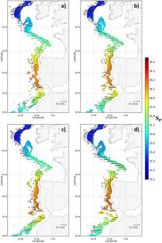 Figure 3.3.2. Seasonal practical salinity (shaded) and currents (arrows) shown only in the area where the zonal salinity maxima takes place. Values under the 85th percentile threshold of salinity computed zonally were masked. For clarity reasons vectors were masked applying a weaker threshold (80th percentile). Winter (DJF)(a), spring (MAM)(b), summer (JJA)(c), and autumn (SON)(d). Averages computed from CMEMS product reference 3.3.1 in the period 2002–2014.