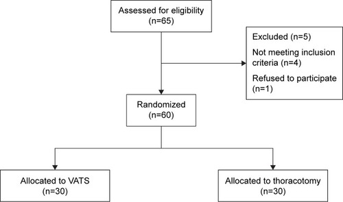 Figure 1 Flow chart depicting trial phases.