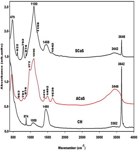 Figure 3. Infrared spectra of calcium hydroxide (CH), nanocomposite (ACaS) and microcomposite (SCaS).