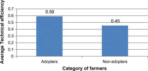Figure 2. Average efficiency and adoption of rice production technologies.