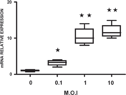 Figure 2. Boxplot of mRNA synthesis of VCAM-1 after infection at different m.o.i., as determined by quantitative real-time RT-PCR. Total RNA was purified 24 h postinfection. The lower bound of the boxes represents the 25th percentile, the upper bound the 75th percentile, and the line inside the 50th percentile. Significant differences compared with the mock-infected cultures, which was assigned a value of 1, as determined by the Student's t test, *p < .05, **p < .01. p < .05 was considered statistically significant.