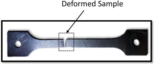 Figure 4. Sample location of deformed test specimen.