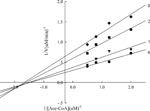 Figure 6 Lineweaver-Burk plot of the inhibition of the overall reaction of FAS by A. campestre extract. The concentration of extract in the reaction system was 0 (0), 0. 2 μg/mL (1), 0.4 μg/mL (2), and 0.5 μg/mL (3). The FAS concentration was 0.012μM, and the fixed concentrations of NADPH and Malonyl-CoA were 32 and 10μM, respectively. The reaction rate was the concentration of NADPH per min consumed in the overall reaction.