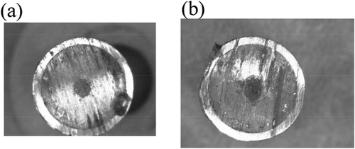 Figure 2. Cross-sectional view of the fuel segment (a) No. 1 and (b) No. 2.