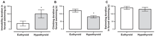 Figure 6 Effect of perinatal hypothyroid on the forced swimming test at prepubertal age. We evaluated immobility (A) climbing (B) and swimming (C) duration (n = 16).*P < 0.05 vs. euthyroid group. Student’s t-test.