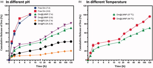 Figure 4. In vitro drug (dexamethasone) release profile of dm@LMNP nano-formulation at different physiological pH conditions.