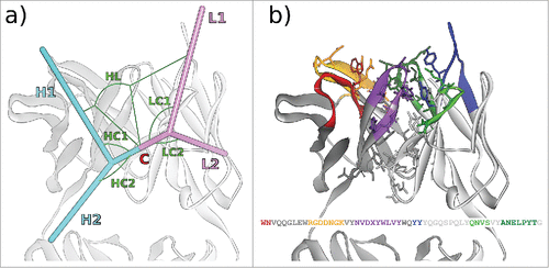 Figure 1. (A) The 6 ABangle VH-VL parameters that describe the variable degrees of freedom of VH-VL orientation consist of the torsion angle HL, from H1 to L1 measured about C, the bend angle HC1, between H1 and C, the bend angle HC2, between H2 and C, the bend angle LC1, between L1 and C, the bend angle LC2, between L2 and C, and the length of C, dc (not shown). (B) Residues belonging to the VH-VL orientation fingerprint, shown in stick representation, and the resulting fingerprint string. CDR color coding follows IMGT/Collier-de-PerlesCitation23 conventions: CDR-H1 is colored red, CDR-H2 orange, CDR-H3 purple, CDR-L1 blue, CDR-L2 light green, and CDR-L3 dark green. The example shows the crystal structure with PDB ID 3PP4.Citation24