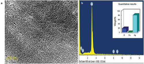 Figure 5. a) SEM and b) EDAX of silver nanoparticles.