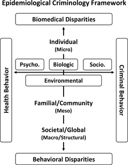 FIGURE 1 Epidemiological Criminology Framework.