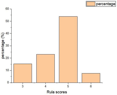 Figure 8. RULA scores: Packing workers.