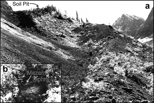 FIGURE 3. (a) The paired lateral moraines downvalley from Robertson Glacier showing the difference in vegetation cover between the older Moraine 1 (left) and younger Moraine 2. (b) Soil pit in older (left) moraine