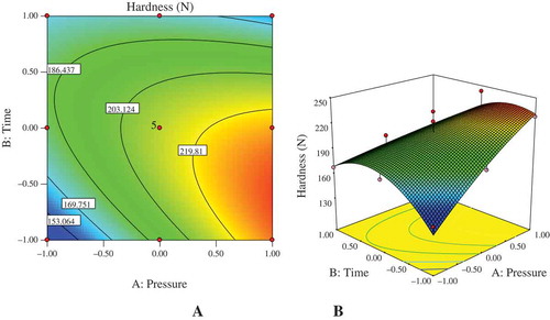 FIGURE 4 Contour plot (a) and 3D surface (b) for hardness of goose breast meat.