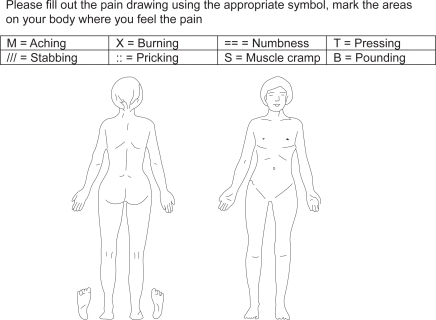 Figure 1 Blank patient pain drawing.